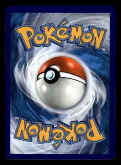 Charizard V SWSH050 Ultra Rare Black Star Promo Set Pokemon Card - Image 2