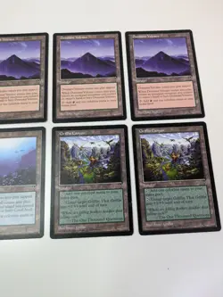 Vintage Magic the Gathering Land Visions Card Bundle - Image 4