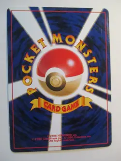 Pokemon Raikou Neo Revelation Holo Rare NO.243 Japanese Awakening Legends NM - Image 5