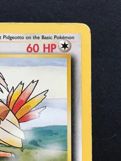 Pidgeotto 22/102 Base Set Rare - Vintage Pokemon Card WOTC 1999 - Played - Image 3