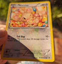 Pokemon Minccino RC18/RC25 Legendary Collection Radiant Collection StarFoil LP - Image 2