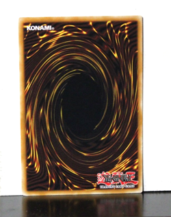 Chrysalis Pinny TAEV-EN009 Common Unlimited Yugioh - Image 2