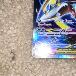 Pokemon Mega Sharpedo EX 127/094 Full Art Holo 330 HP 70/120+ Attack Stage 1 - Image 2