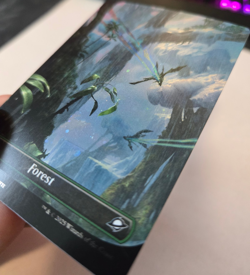 Forest Borderless GALAXY FOIL - 371 Edge of Eternities MTG NM - Image 3