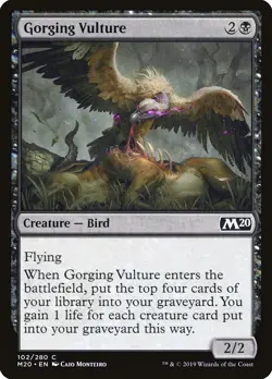 Gorging Vulture FOIL Core Set 2020 / M20 NM Black Common MAGIC MTG CARD ABUGames - Image 1