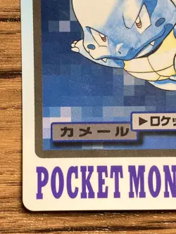 Pokemon Carddass Card Wartortle File No.8 Bandai Pocket Monsters 1997 Japan - Image 5
