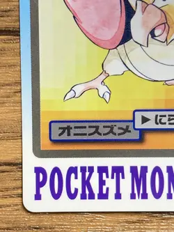 Pokemon Carddass Card Spearow File No.21 Bandai Pocket Monsters 1997 Japan - Image 5