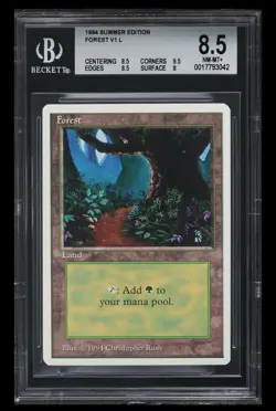 MTG Summer Magic Edition Forest V1 (Path) BGS 8.5 NM-MNT+ Rarer Than Alpha! - Image 1