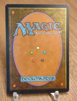 SHALLOW GRAVE mtg Very Light Play Mirage Rare (Z212) - Image 2