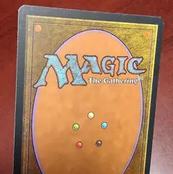 SHALLOW GRAVE mtg Very Light Play Mirage Rare (Z212) - Image 4