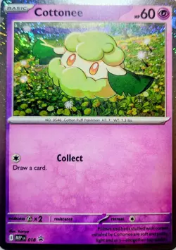 Cottonee MEP 018 & 019 Whimsicott Phantasmal Flames Black Star Promo Pokemon TCG - Image 4