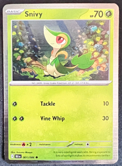 Pokemon Tepig 011 Snivy 001 Oshawott 021 Black Bolt White Flare Promo Set (3) NM - Image 2