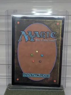 MTG Flash Photography (Borderless) Foil FIC 463 - FF Magic The Gathering Card - Image 2