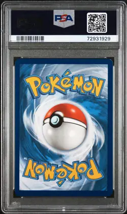 2019 Pokemon SM210 Black Star Promo Moltres & Zapdos & Articuno GX PSA Authentic - Image 2