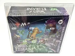 Magic the Gathering Wilds of Eldraine Collector Booster Box Sealed MTG 12 Packs! - Image 1