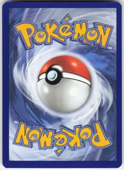 Makuhita - 068 068 Holo Promo ME: Mega Evolution Promo Pokemon Near Mint - Image 2