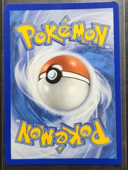 Pokemon Phantasmal Flames Mega Charizard X Ex 013 - Image 2