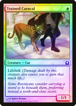Trained Caracal FOIL Return to Ravnica NM White Common MAGIC MTG CARD ABUGames - Image 1