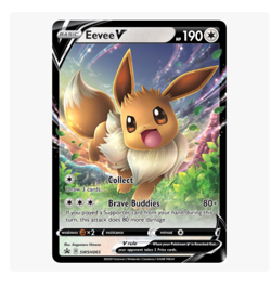 Hold For Dr Catman Eevee V SWSH065 Pokemon - Image 1