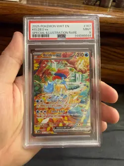 2025 Pokemon - Keldeo ex - White Flare - Special Illustration Rare - PSA 9 - Image 1