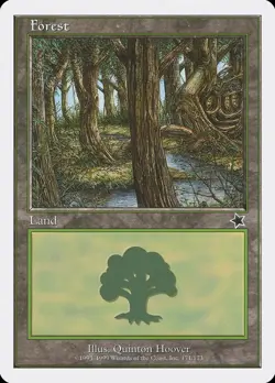 Forest (171) Starter 1999 NM Basic Land MAGIC THE GATHERING MTG CARD ABUGames - Image 1