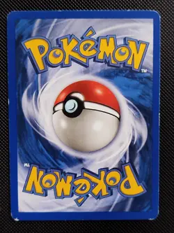 (LP) Swinub 108/144 2003 Skyridge Pokemon Card - Image 2