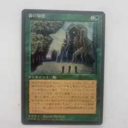 Mtg Sylvan Library Japanese 4Th Edition Black Frame Old - Image 1