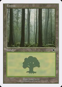 Forest (173) Starter 1999 HEAVILY PLD Basic Land MAGIC GATHERING CARD ABUGames - Image 1