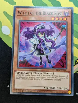Witch of the Black Rose - LDS2-EN097 - Common - Yugioh - LP - Image 1