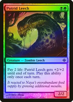 Putrid Leech FOIL Alara Reborn PLD Black Green Common MAGIC MTG CARD ABUGames - Image 1