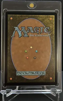 Mint/Near-Mint, English - 1 x MTG Black Panther, Wakandan King - 1747 - Non-Foil - Image 2