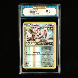 TQG 9.5 MINT+ 2016 Pokemon ENG Minccino 86/124 C - Image 2