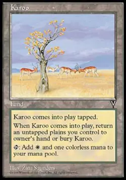 Karoo - Medium Play MTG Visions - Image 1