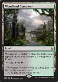 Woodland Cemetery - Foil Magic mtg Light Play, English Dominaria x1 - Image 1