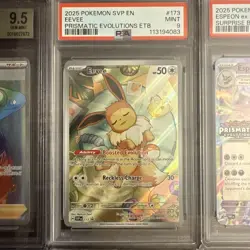 Lot Of 12 Pokemon Slabs. Psa, Beckett, Wag - Image 5