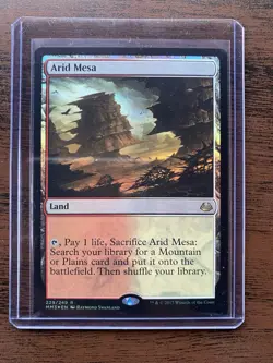 Wizards of the Coast Arid Mesa Modern Masters 2017 Rare Land Foil 229/249 - Image 1