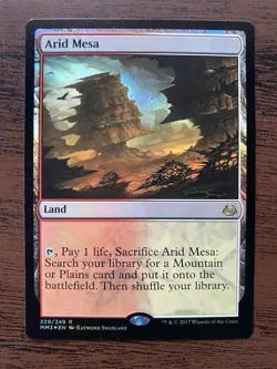 Wizards of the Coast Arid Mesa Modern Masters 2017 Rare Land Foil 229/249 - Image 2