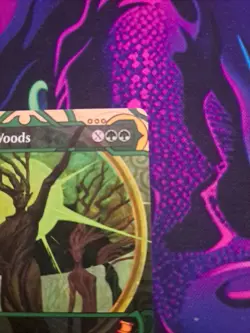MTG Awaken The Woods English Non Foil Secrets Of Strixhaven Unplayed Mint - Image 4