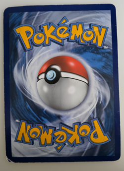JUMBO Charizard & Braixen GX SM230 Sun & Moon Black Star Promo Pokemon Card - Image 2