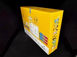 Pokemon Chinese 2024 Eevee GX Gift Box Jolteon Box Exclusive New - Image 5