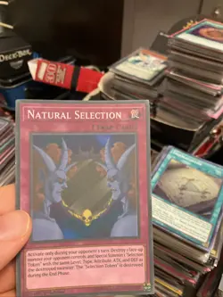Natural Selection ANIME ONLY yugioh - Image 1
