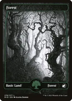 Lot of 20x Forest #276 - MID Midnight Hunt - MTG Magic FULL ART Land - Image 1
