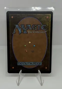 Turbulent Steppe (Extended Art) - 106 - SOC - NM - MTG Magic the Gathering - Image 2