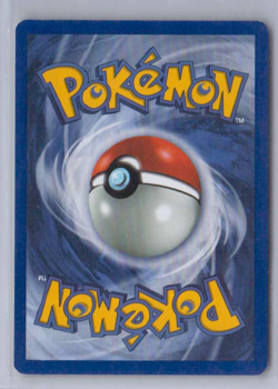 1999 Pokemon Base Set Dewgong 25/102 Uncommon Spanish - Image 2