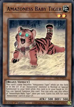 Amazoness Baby Tiger - Purple Ultra Rare 1st Edition LDS1-EN023 - LP - YuGiOh - Image 1