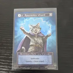 Apurrentice Wizard (Foil) Sorcery TCG Spellcaster Promo Card by Severine Pineaux - Image 1