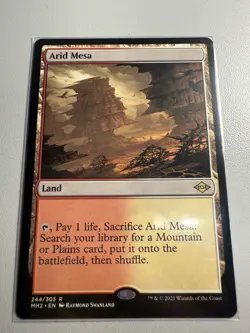 Arid Mesa Modern Horizons 2 Regular - Image 1