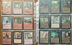 MTG Fallen empires Complete Set 187/187 Nothing besides remains save bare sand! - Image 4