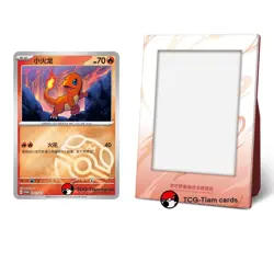 Pokemon TCG Bulbasaur Charmander Squirtle Master Ball & display frame 3pc set - Image 4