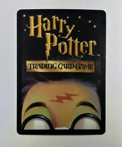 Harry Potter Diagon Alley CCG Card Lee Jordan Wizard 19/80 Unplayed - Image 2